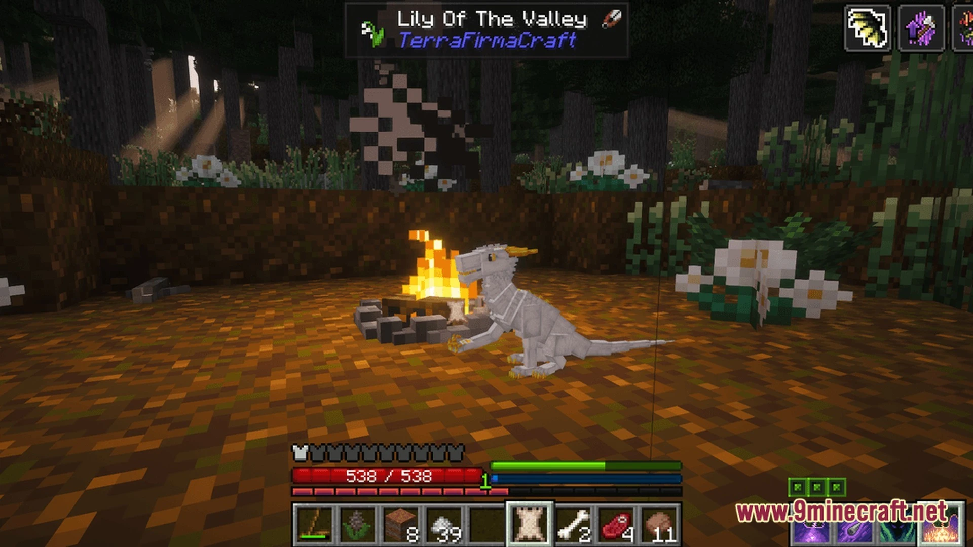 Tfc Terra Draconis Primitive Dragon Survival Modpack (1.21.1) – Dragons Meet Primitive Survival 2 Tfc terra draconis primitive dragon survival modpack screenshot 1