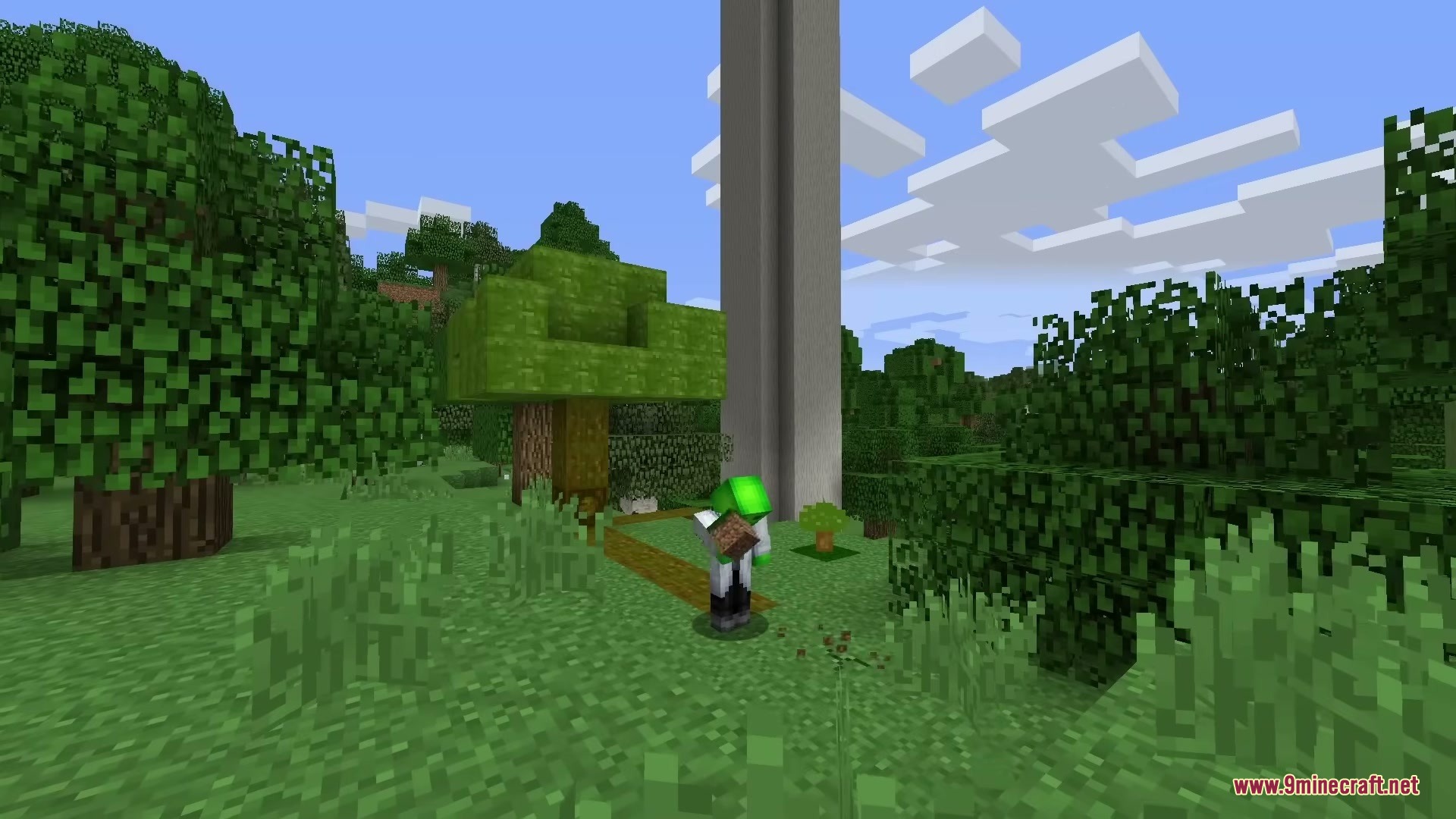 Tree spirit mod screenshot 1