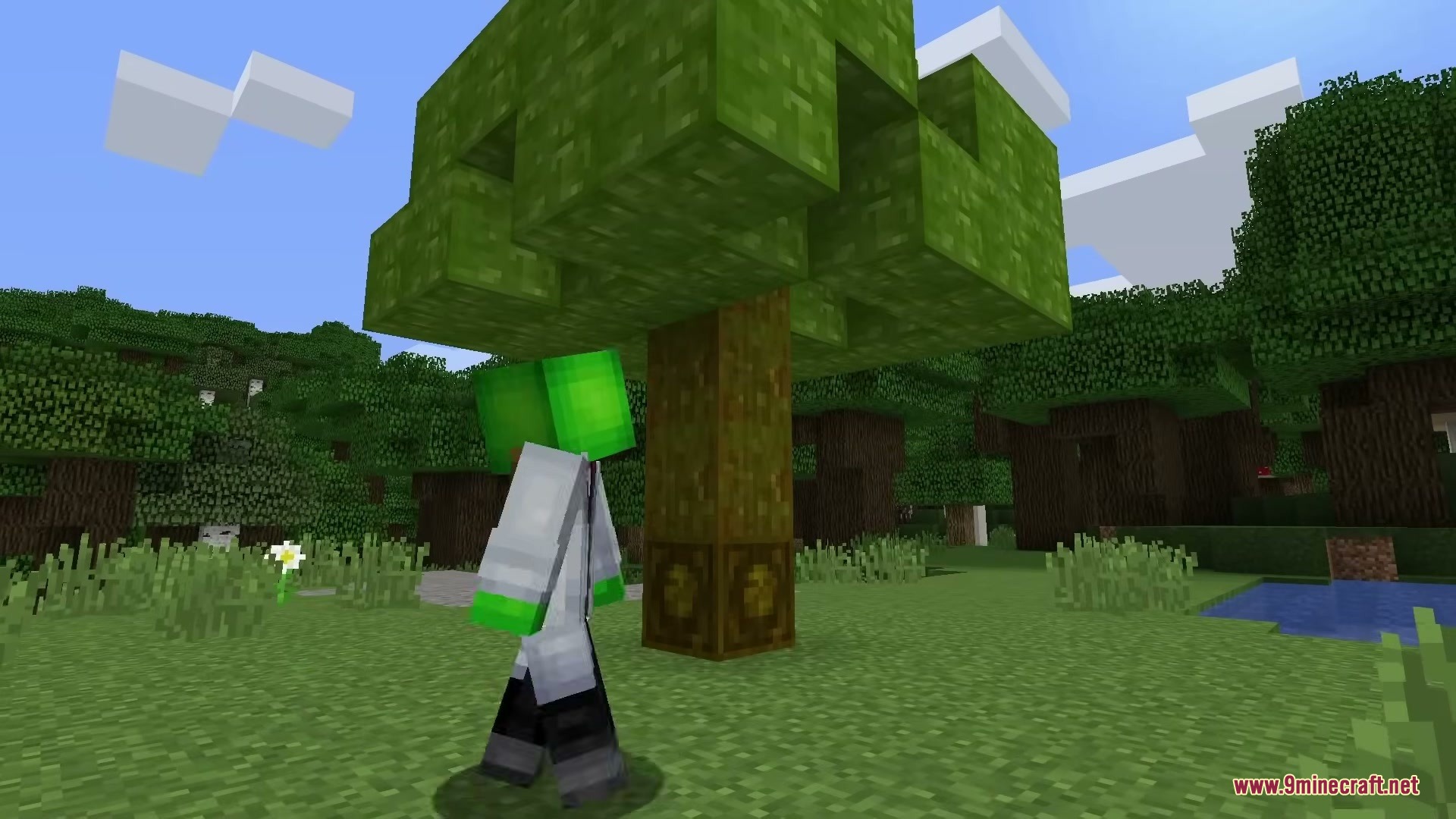 Tree spirit mod screenshot 3