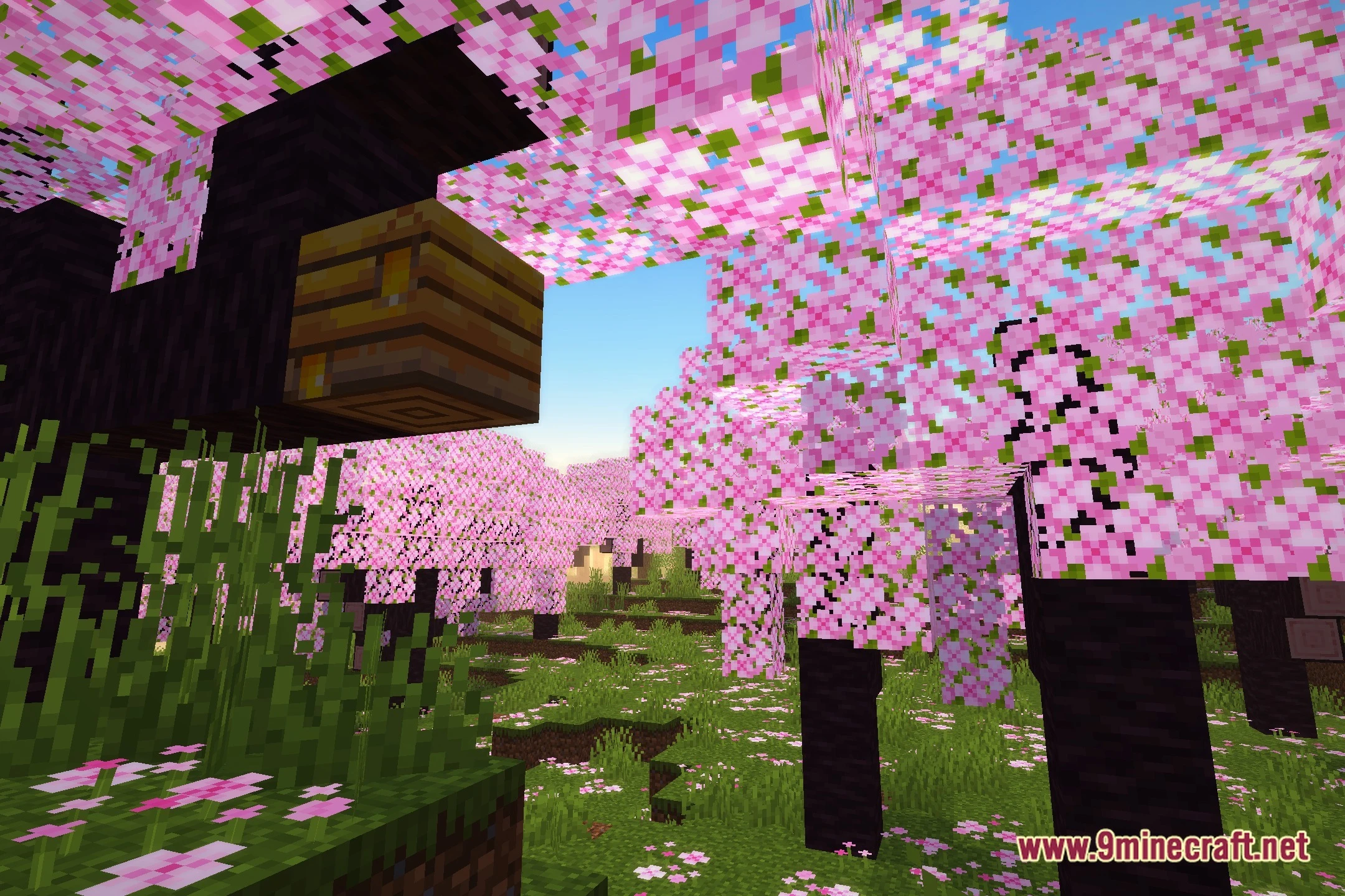 Warmtoon Shaders (26.3, 1.20.1) – Trailer-Style Visuals And Soft Shadows 2 Warmtoon shaders screenshot 1