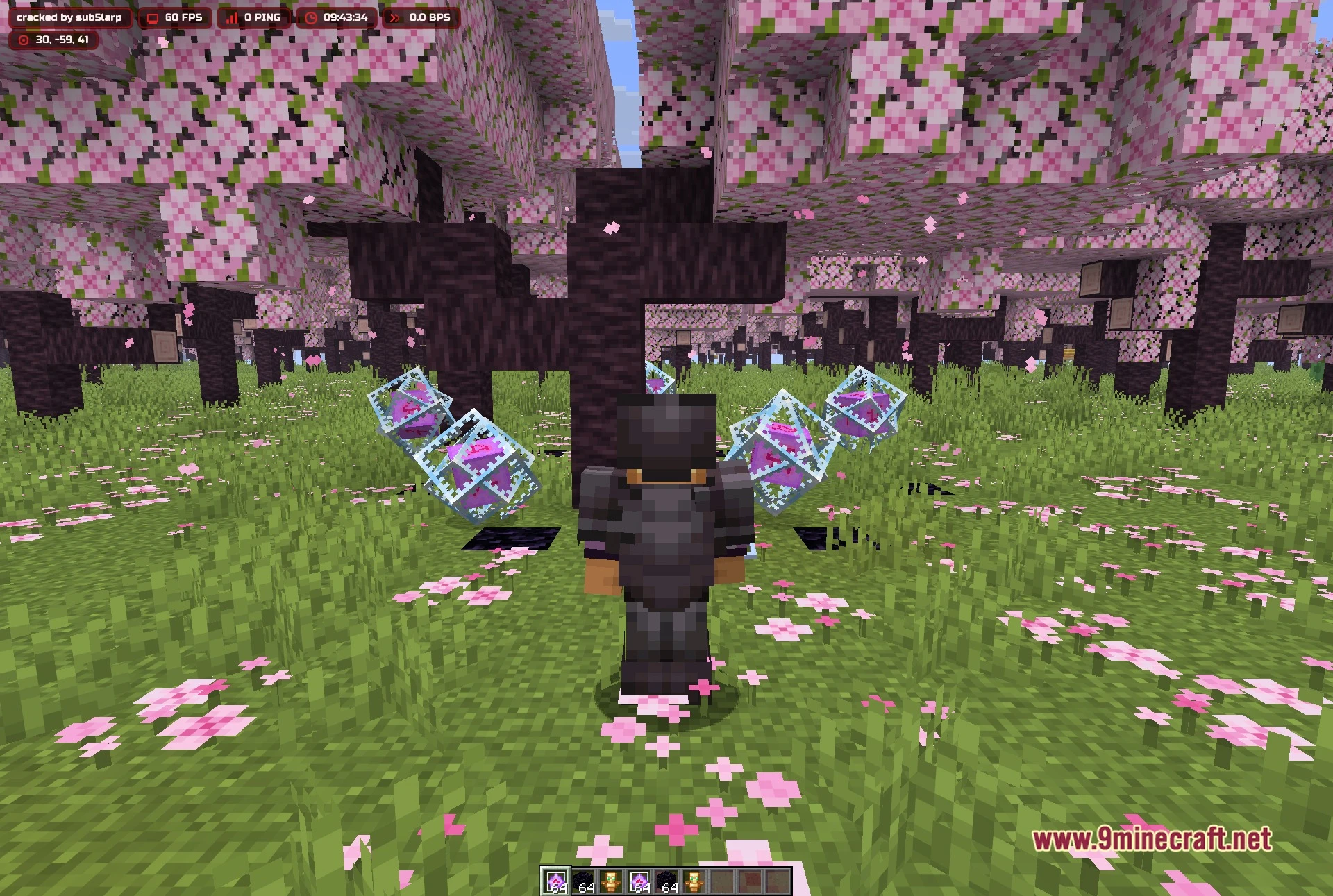 Blood V3.1 Client Mod (1.21.11) – Hunt Down Hidden Player Bases 4 Third-person view of the player in netherite armour among the cherry trees