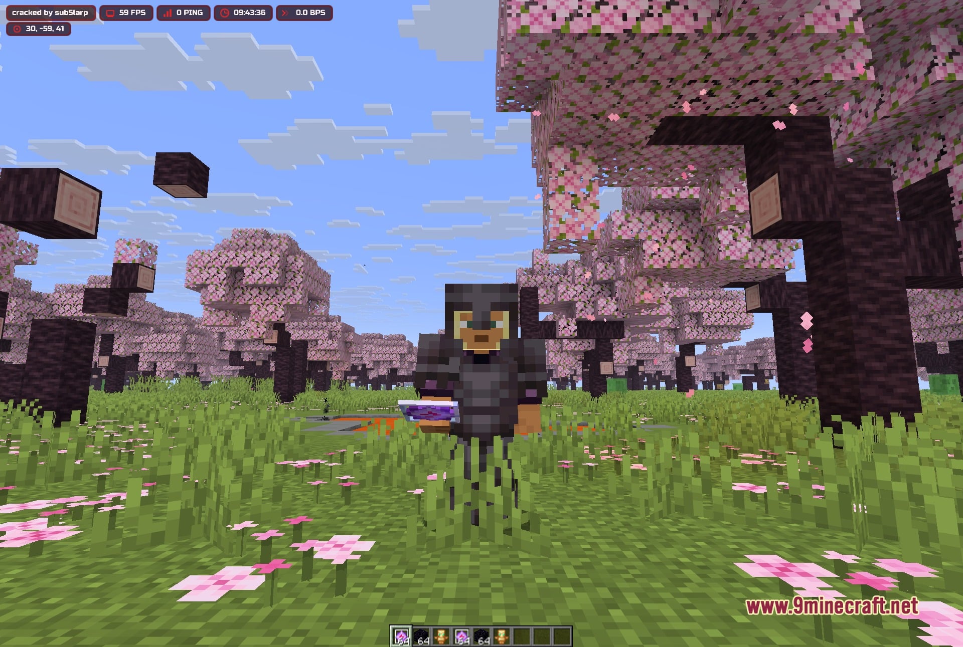 Blood V3.1 Client Mod (1.21.11) – Hunt Down Hidden Player Bases 5 Wide shot of the cherry forest used to check render distance with the client running