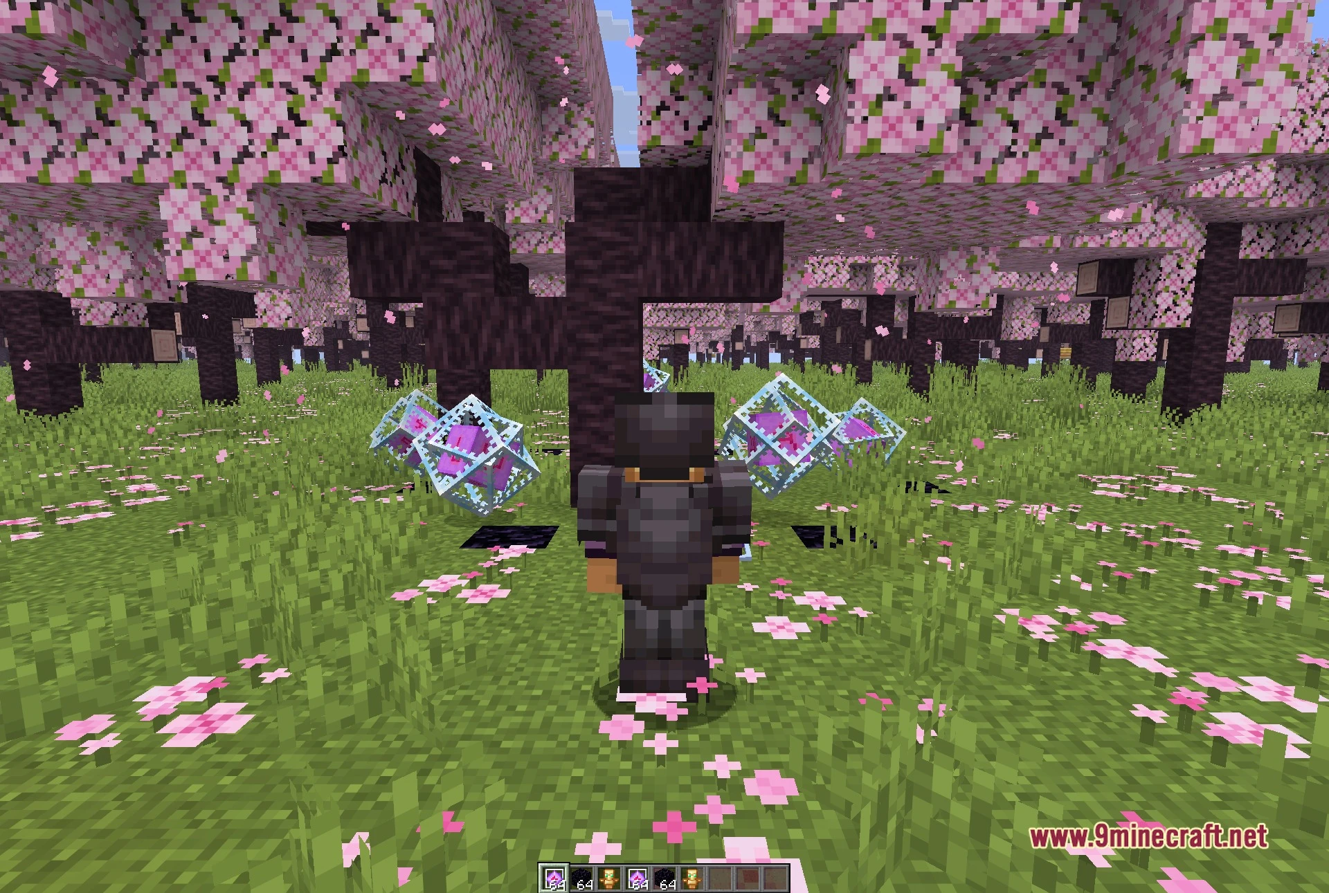Enjoyer Media Client Mod (1.21.11) – Track Player Trails To Hidden Bases 4 Third-person view of the player between two end crystals