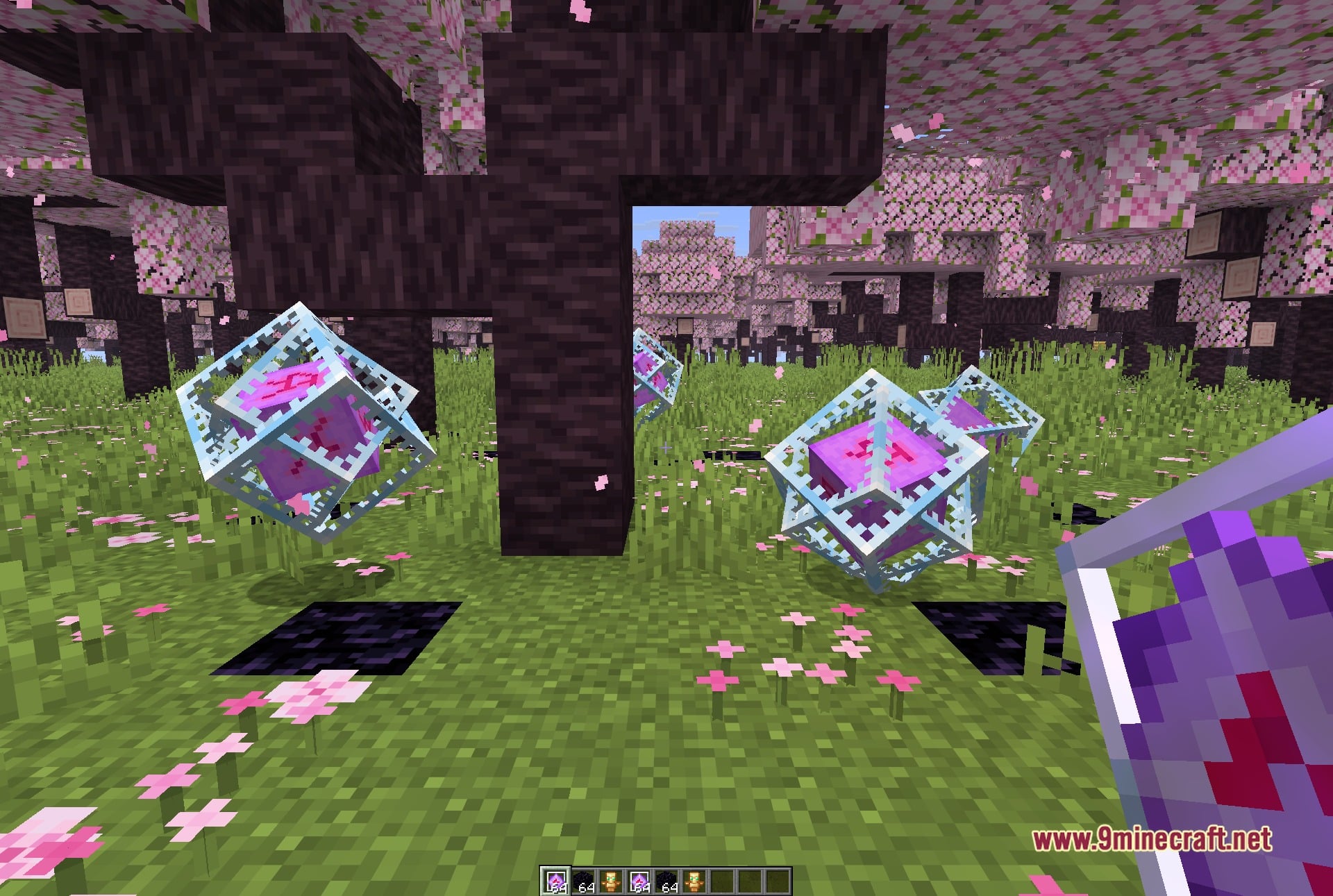 Mental Debug Client Mod (1.21.11) – Track Player Bases And Hidden Stashes 3 First-person view in the cherry grove with end crystals placed nearby