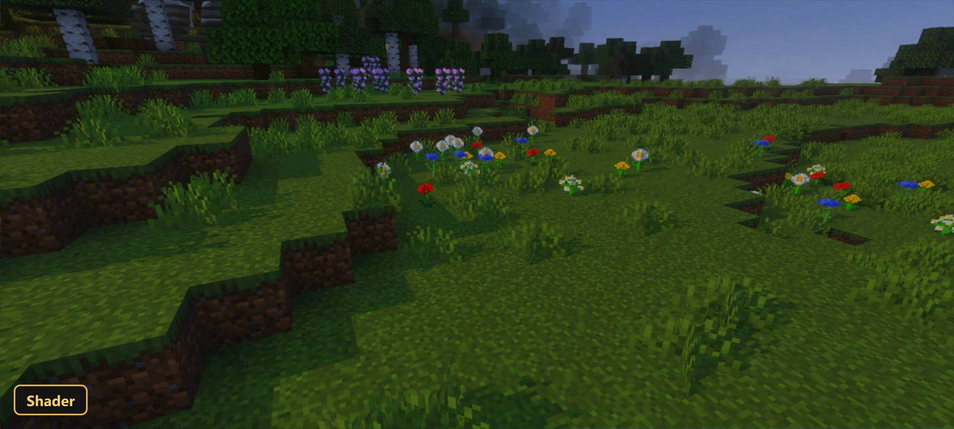 Grassy field with colorful flowers, birch trees, and distant forest