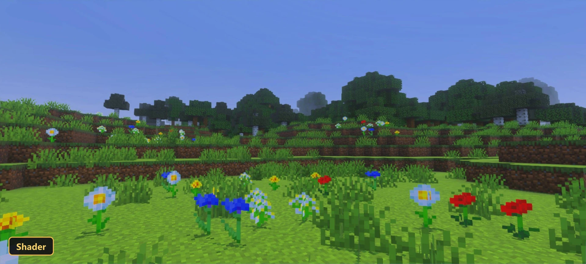 Bright green field with many colorful flowers and a distant forest