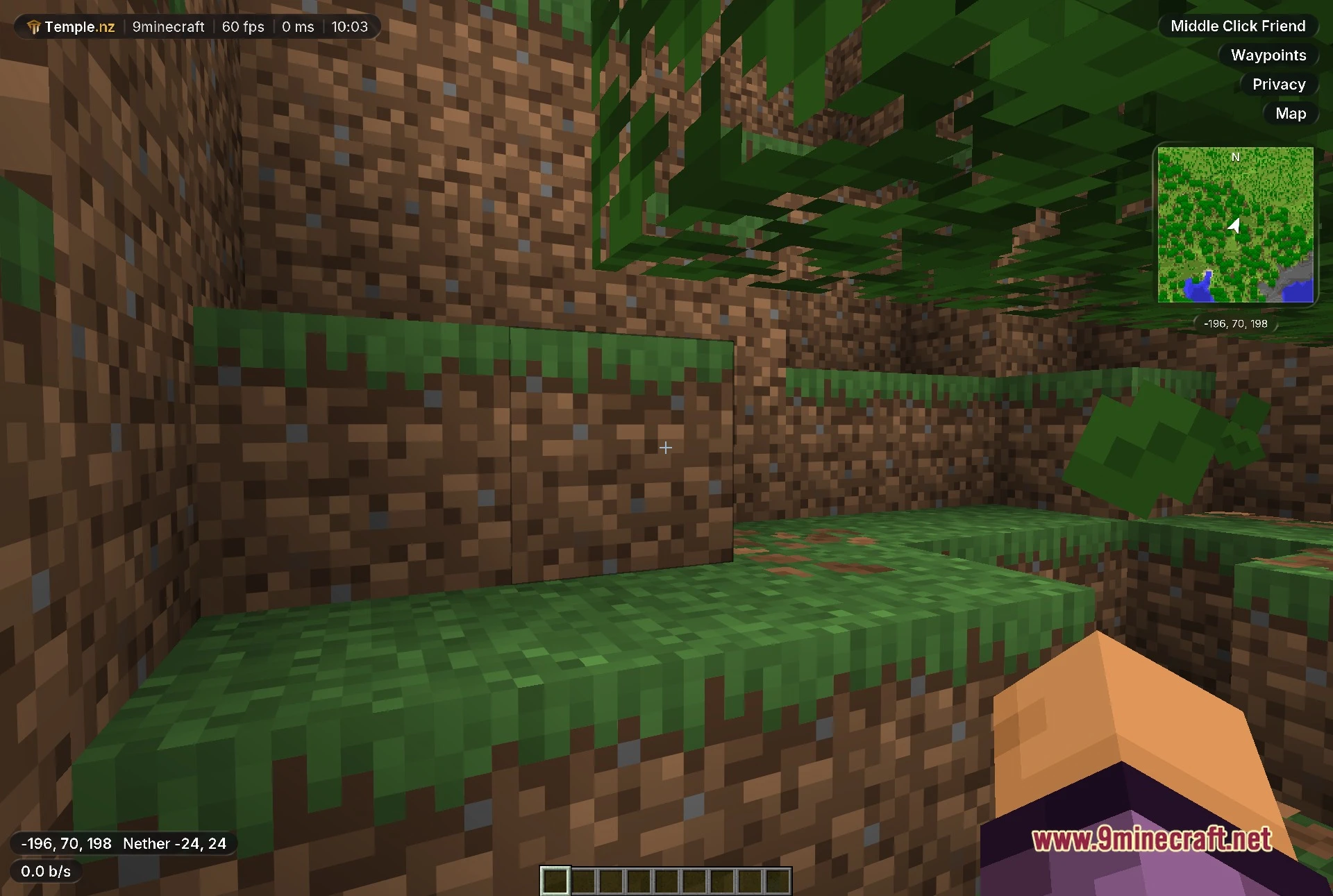 First-person view of the test world with the client running