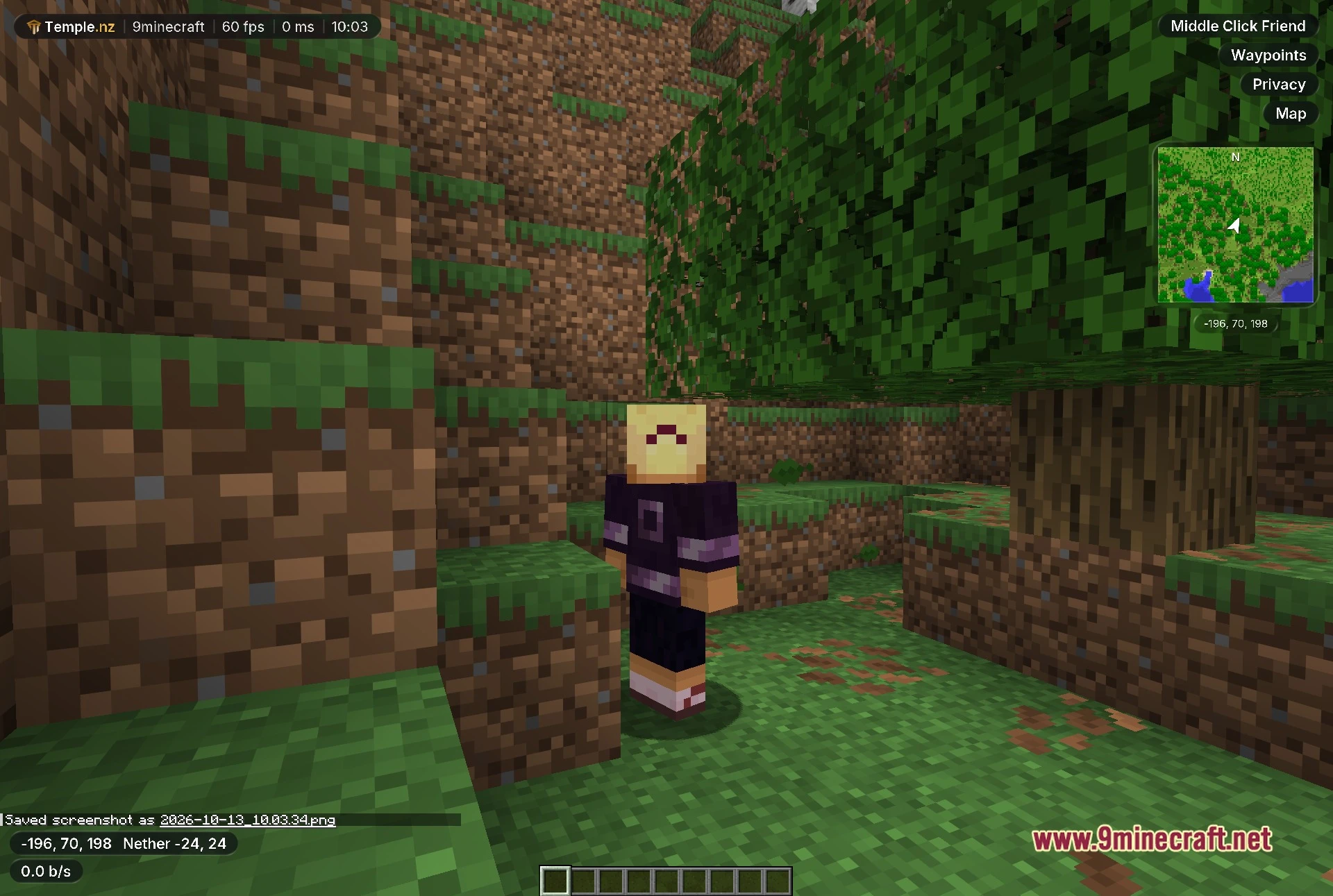 Third-person view of the player in the same world