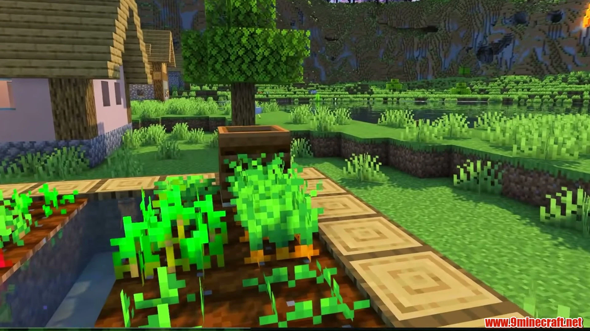 Top 10 Ultimate Building Canvas Seeds For Minecraft 26.2 – Java &Amp; Bedrock Edition 4 Cherry blossom crater lake & plains village - minecraft seed 1450670597591761122