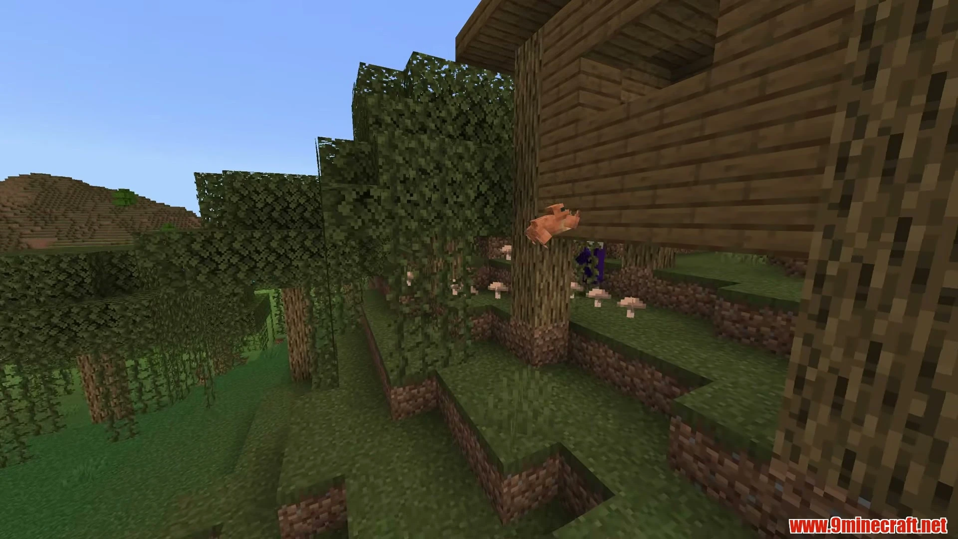 Top 5 Bedrock &Amp; Java God Starter Seeds For Minecraft 26.3 – Java &Amp; Bedrock Edition 6 Pocket swamp witch hut & triple villages - minecraft 26. 3 seed 4126544448455255 view 2